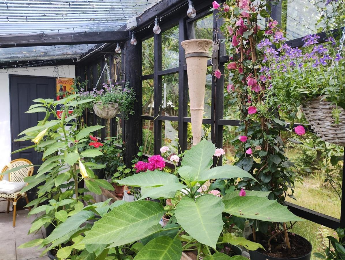 Ezzo Guest House Nakskov Dış mekan fotoğraf